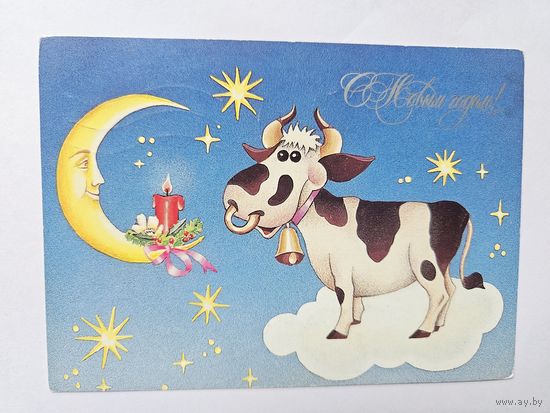 Чумакова 1996 годовик с новым годом