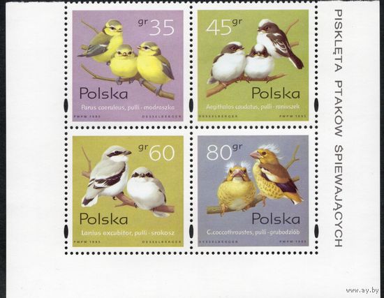 Польша 1995. Фауна. Птицы. Сцепка 4 марки. Mi 3567-70