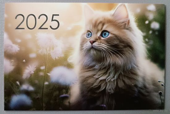 Кот. Календарик, 2025