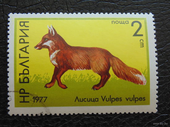 Болгария 1977 г. Фауна.