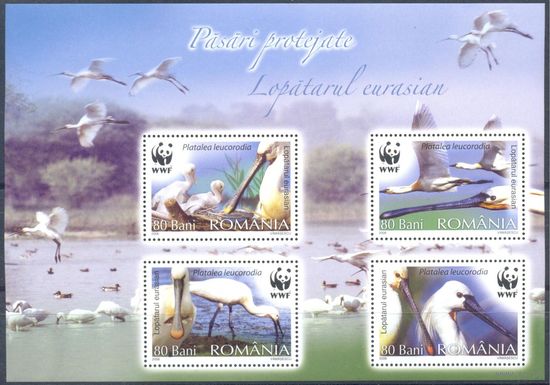 Румыния 2006 Фауна. WWF. Птицы, блок