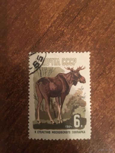 СССР 1964. Лось. К столетию Московского зоопарка