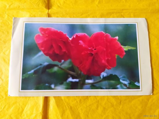 С новым годом. КНДР