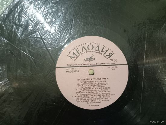 Виниловая пластинка