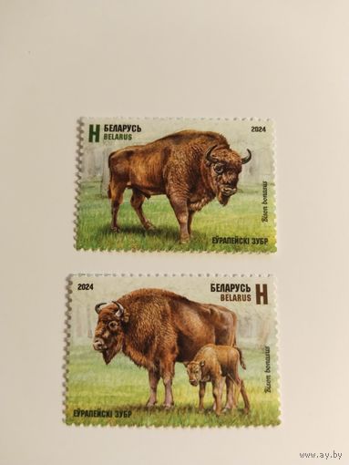 Беларусь 2024 2 м зубры