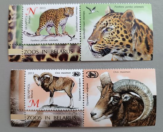 Европейский муфлон и леопард. Из серии, марки с купоном. Беларусь, 2013