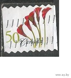 Канада. Цветы. Кала. 2004г. Mi#2232.