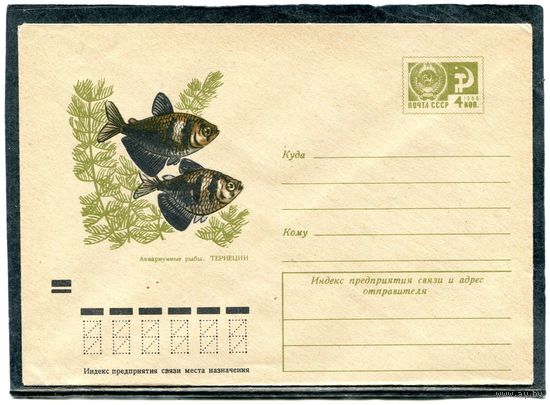 СССР 1971. ХМК. Конверт. Аквариумные рыбки. Тернеции
