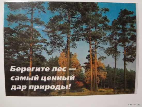 Календарик 1998 г. Берегите лес - самый ценный дар природы!