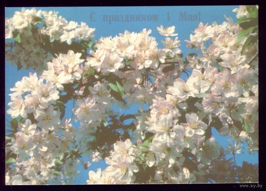 1988 год В.Дорожинский С праздником 1 мая
