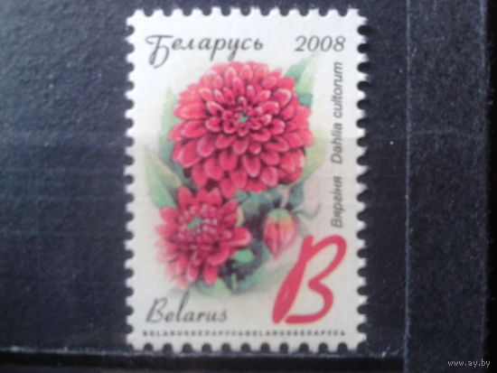 2008 Стандарт, цветы** В