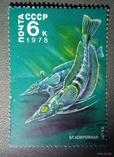Марка СССР Рыбы 1978