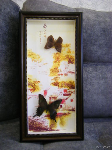 Две коллекционная бабочки. 47см.х23см.