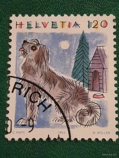 Швейцария 1993. Домашние животные. Собака. Марка из серии
