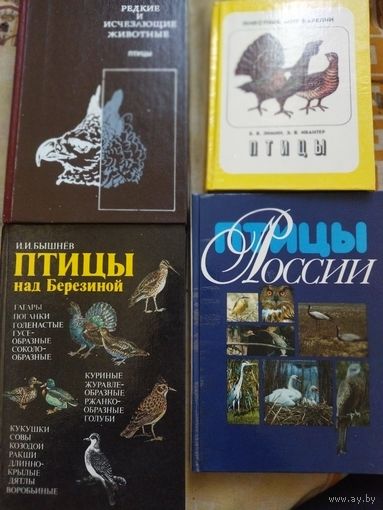 Книги птицы 4(шт)