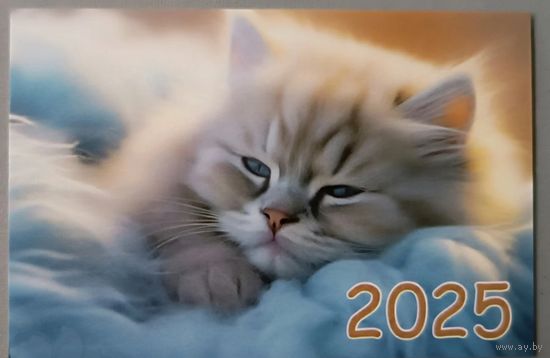 Кот. Календарик, 2025
