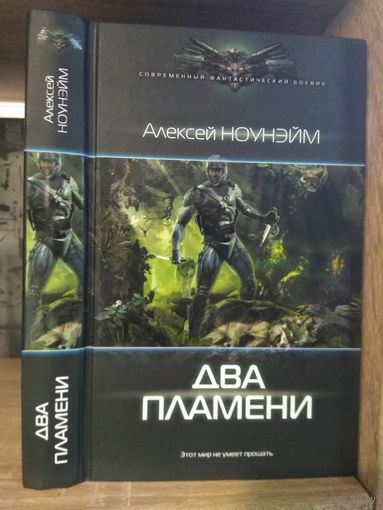 Ноунэйм А. "Два пламени" Серия "Современный фантастический боевик"