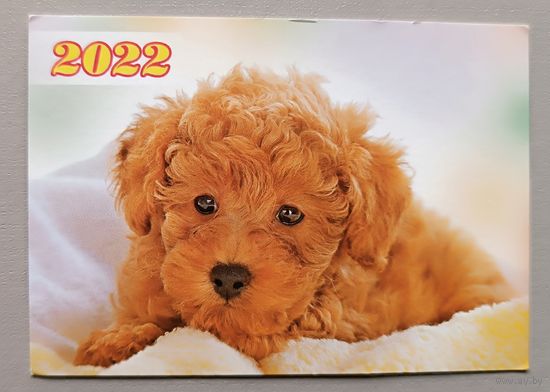 Собака. Календарик, 2022