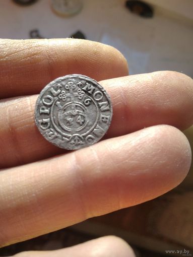 Полторак 1616 года быгдош герб в щите