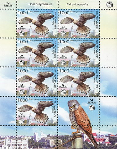 Беларусь 2010   Птица года. Пустельга М/Л