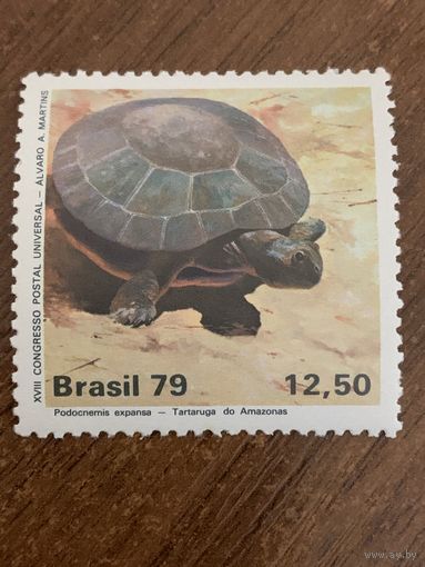 Бразилия 1979. Черепаха. Podocnemis expanse. Марка из серии