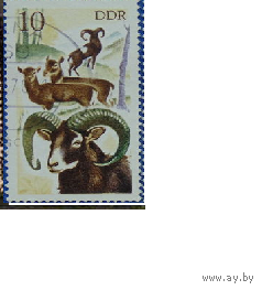 ГДР 1985 Фауна ОХОТА (АНД