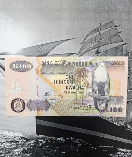 100 Квач Замбия