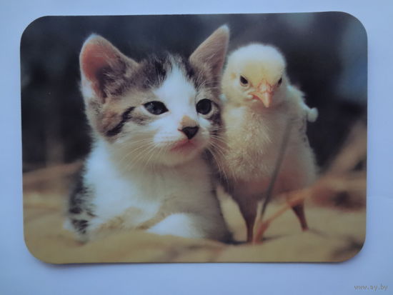 Календарик 2000 г. Котенок и цыпленок.