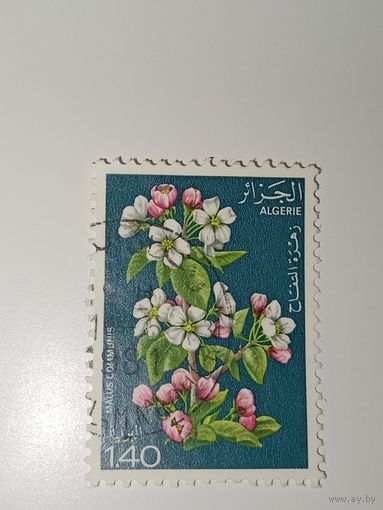 Алжир  марка 1978 год цветы