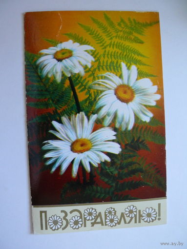 Костенко Г., Поздравляю! 1982, двойная, подписана.