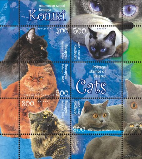 2004 БЕЛАРУСЬ  блок коллекционных марок Кошк MNH