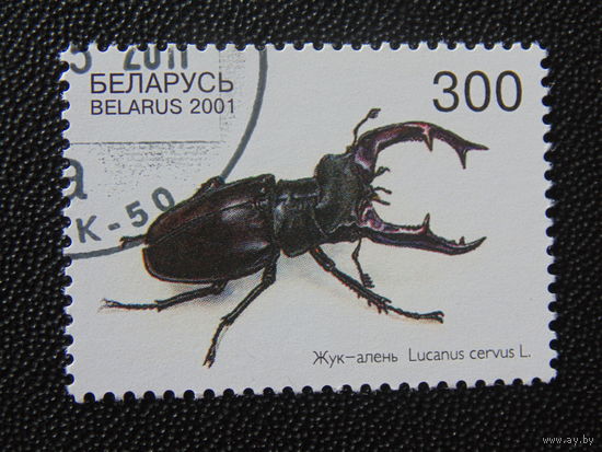 Беларусь 2001 г. Жук - олень.