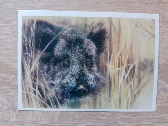 Исаков 1989, чистая