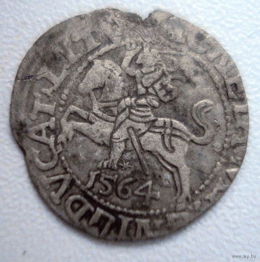 Полугрош 1564 года.