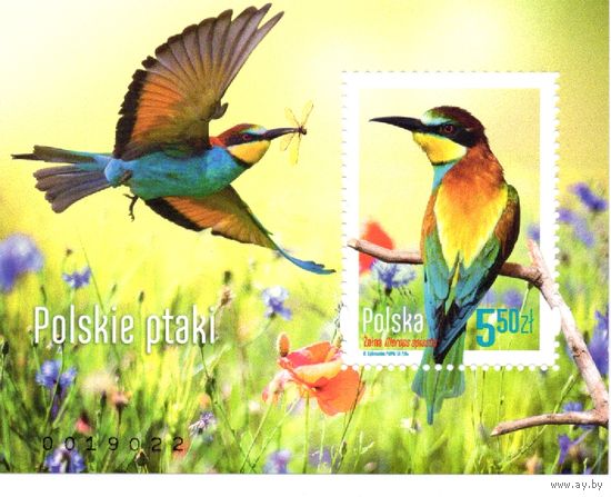 Польша 2014. Птицы. Mi 4690. Блок 228