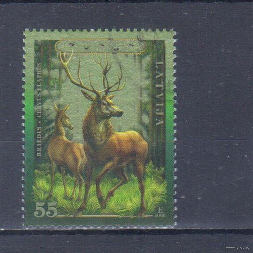 [2280] Латвия 2006. Фауна.Благородный олень. Гашеная марка.