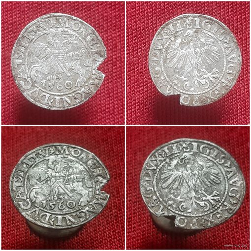 Полугрош 1560 года.