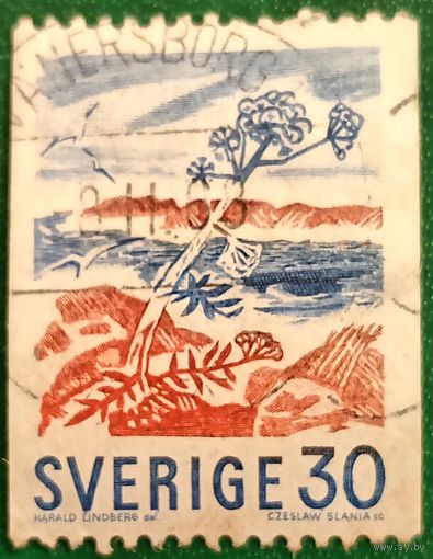 Швеция 1967. Флора. Дудник лекарственный