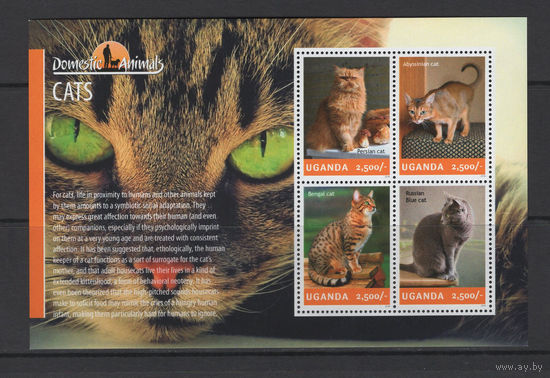 Уганда 2014** Кошки