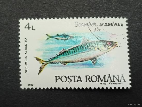 Румыния 1992. Рыбы. Атлантическая скумбрия