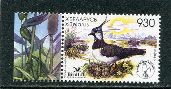 Беларусь 2006. Птица года. Чибис