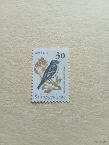 Марки Беларусь. Марка станд. Мухоловка-пеструшка. 2006 год
