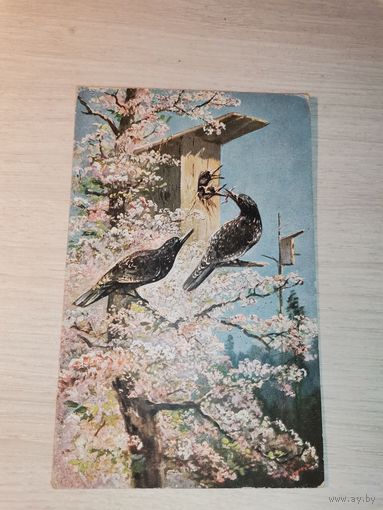 Открытое письмо, почтовая карточка до 1917 года, Германия.