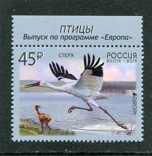 Россия 2019. Европа СЕРТ. Стерх