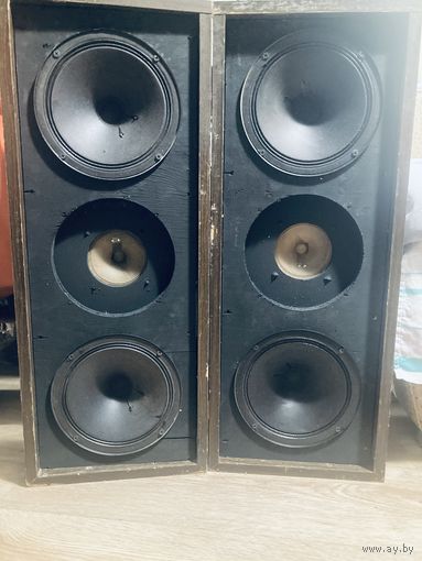 Акустика Tesla