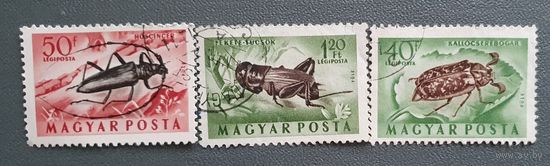Венгрия жуки 3шт