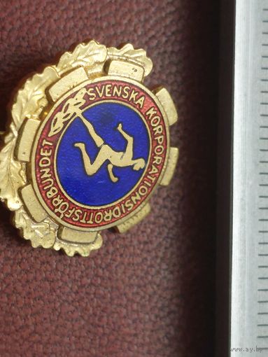 Значок корпорация спорта Швеция
