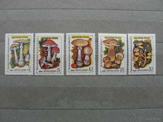 Продажа коллекции с 1 рубля! Чистые почтовые марки СССР в коллекционном** состоянии.