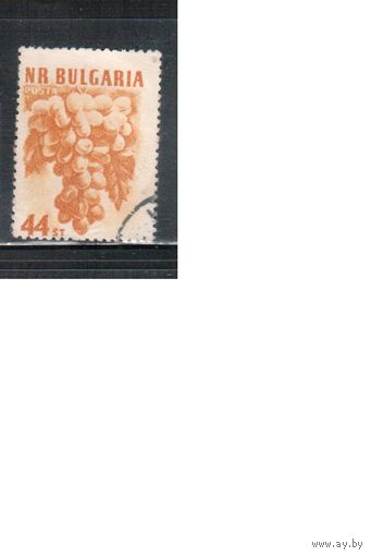 Болгария-1957, (Мих.1025),   гаш. , Фрукты