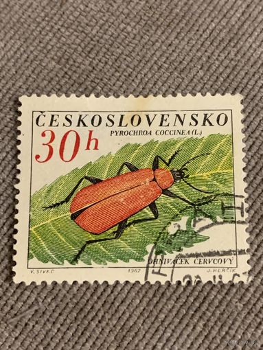 Чехословакия 1967. Жуки. Pyrochroa Coccinea